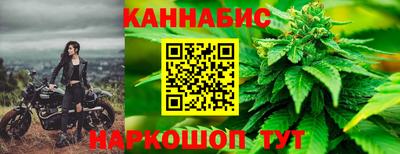 трава Бийск