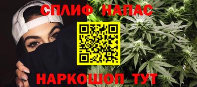 трава Бийск